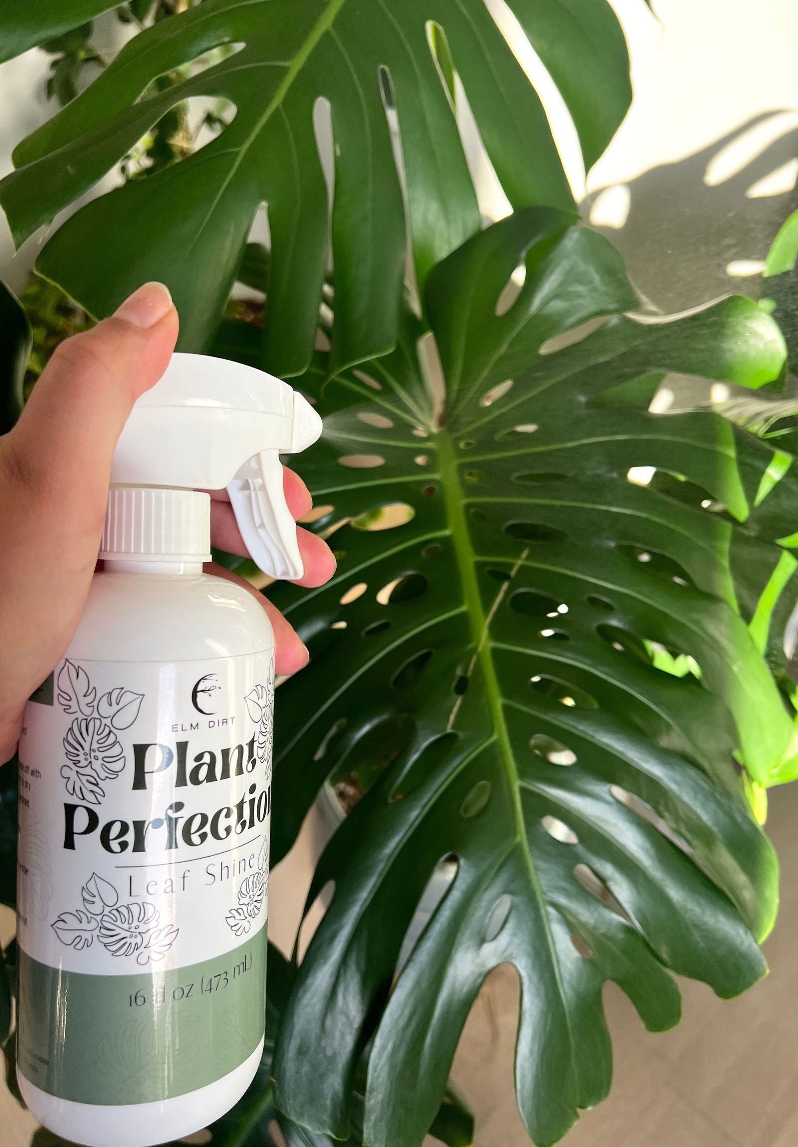 A hand holds a Plant Care Kit by Elm Dirt spray bottle in front of a sunlit, healthy monstera with split leaves.