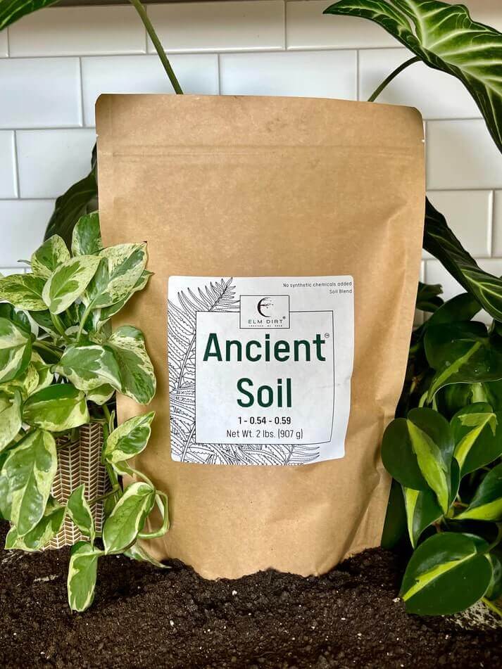 Ancient Soil: Organic Living Soil for Thriving Plants - Blessings Grow Meadows