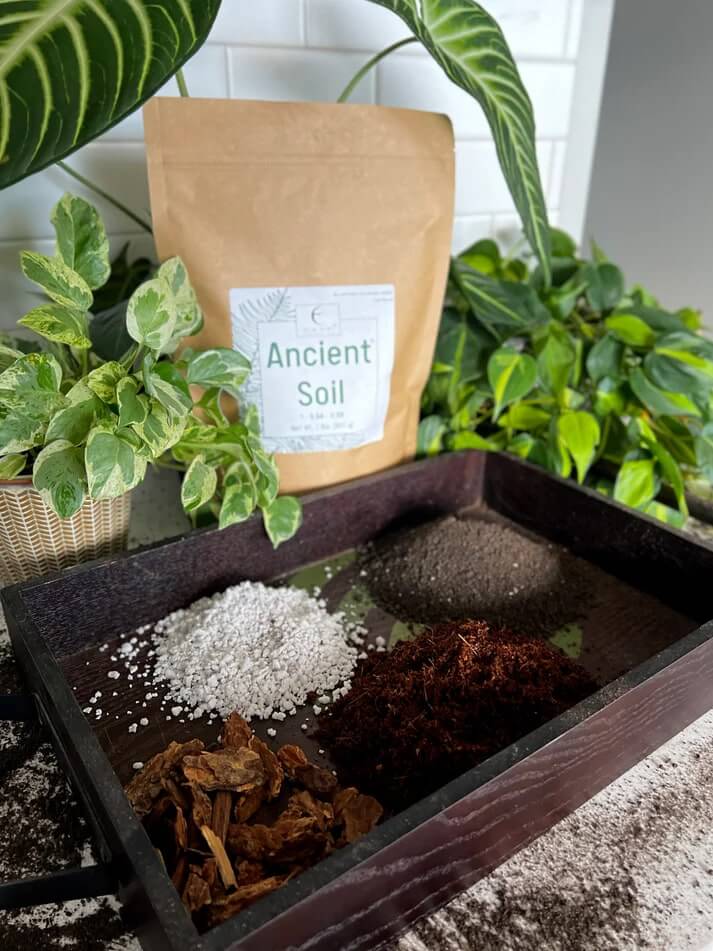 Ancient Soil: Organic Living Soil for Thriving Plants - Blessings Grow Meadows