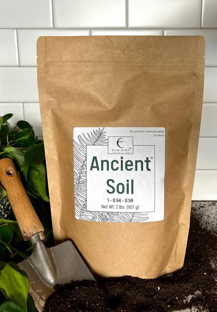 Ancient Soil: Organic Living Soil for Thriving Plants - Blessings Grow Meadows