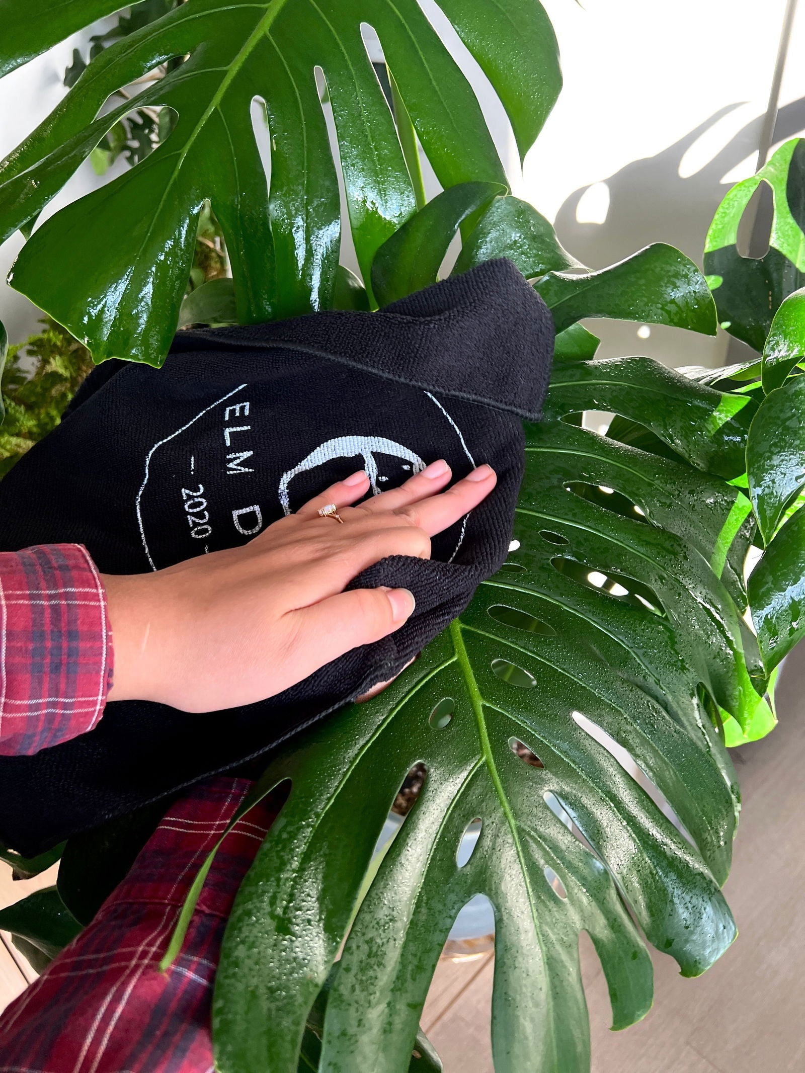 Elm Dirt starter kit with soil, featuring natural soil components for gardening and planting projects by Elm Dirt.