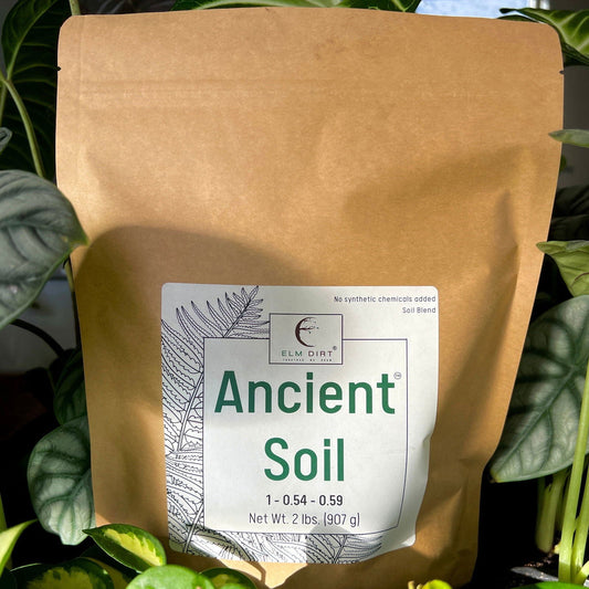 A brown bag labeled "Ancient Soil by Elm Dirt" stands among green plants. The label states “No synthetic chemicals added,” shows a leaf illustration, and lists the weight as 2 lbs (907 g).