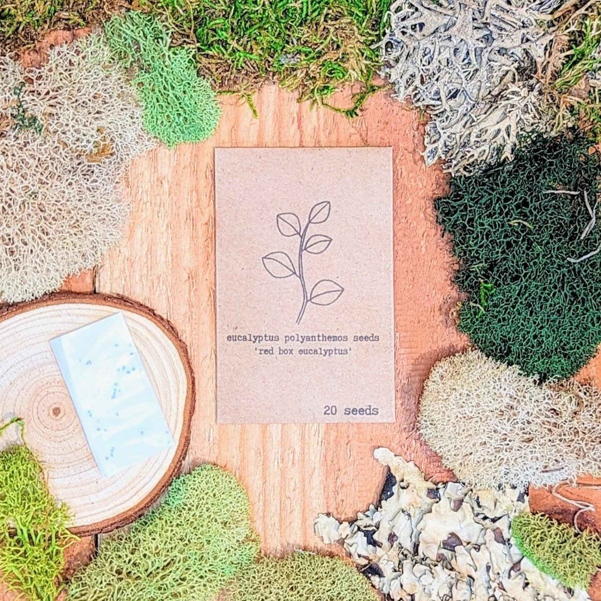 Eucalyptus Polyanthemos 'Red Box' houseplant seeds from Plantflix, showing small seed packets with images of the plant.