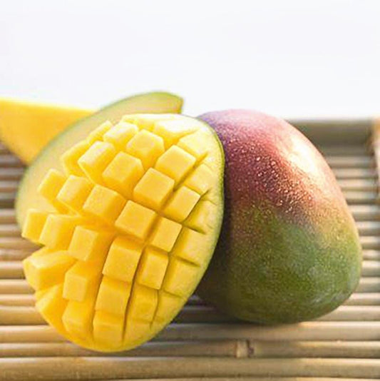 Carrie Dwarf Mango Tree Grafted - Blessings Grow Meadows -