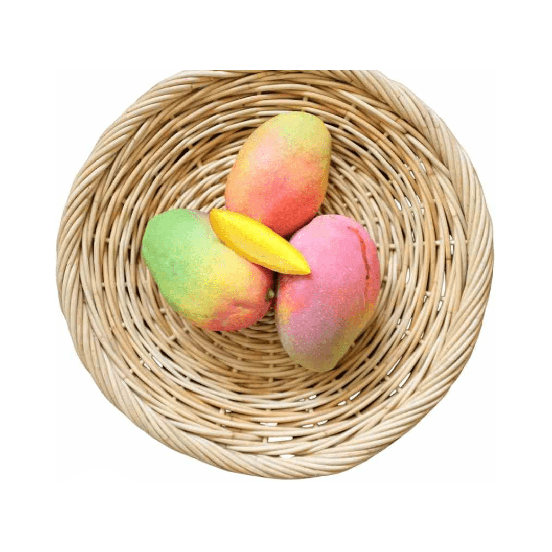 Cogshall Mango Tree Dwarf, Grafted - Blessings Grow Meadows