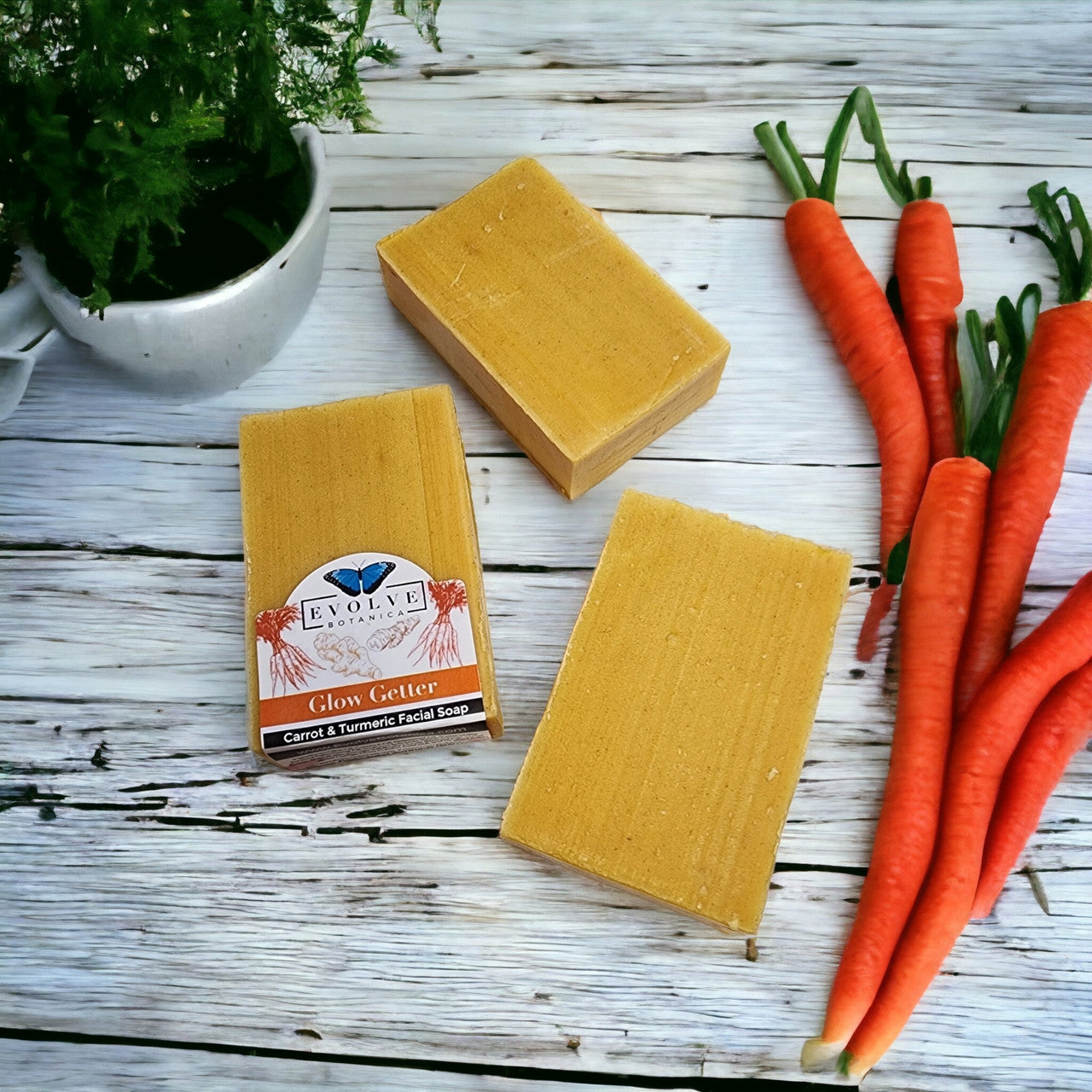 Standard Soap - Glow Getter (Carrot, Turmeric & Honey Facial Soap) - Blessings Grow Meadows