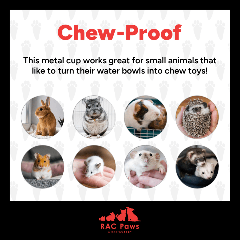 RentACoop DIY Auto-Fill Metal Waterer Kit for small animals like rabbits, hamsters, ferrets, and chickens, 6-pack.
