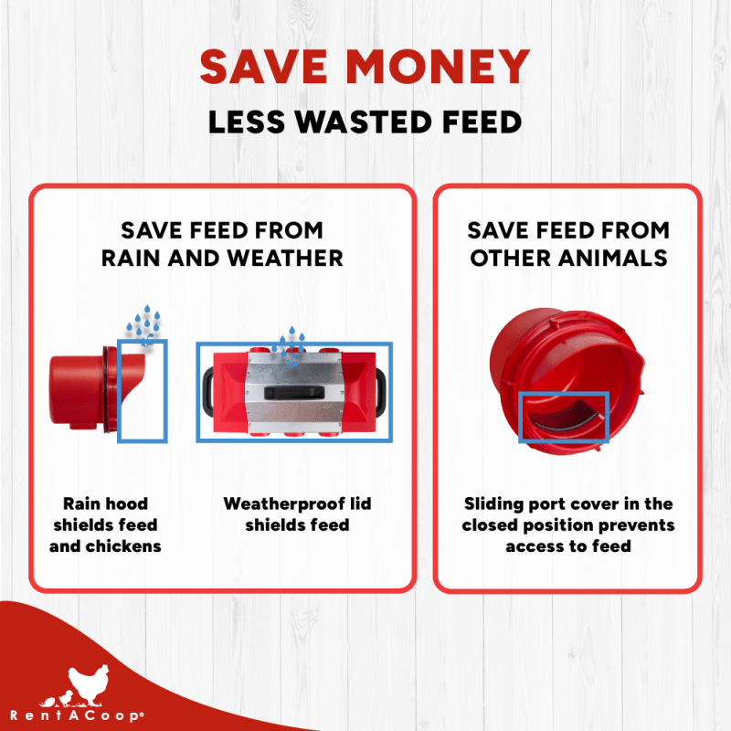RentACoop Flock Feeder 15 6-Port metal poultry feeder with 15lb capacity, designed for easy feeding of multiple birds.