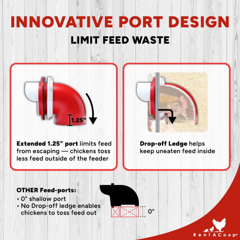 RentACoop Flock Feeder 65 6-Port metal poultry feeder with multiple ports for easy feeding of chickens or poultry.