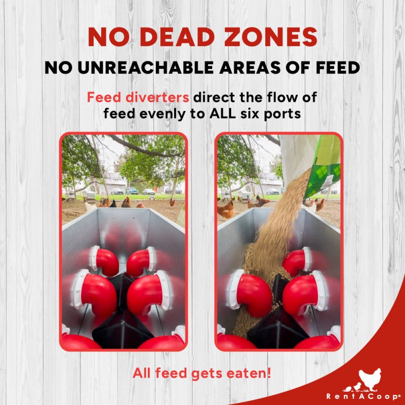RentACoop Flock Feeder 65 6-port metal poultry feeder with six feeding ports for chickens or small birds.