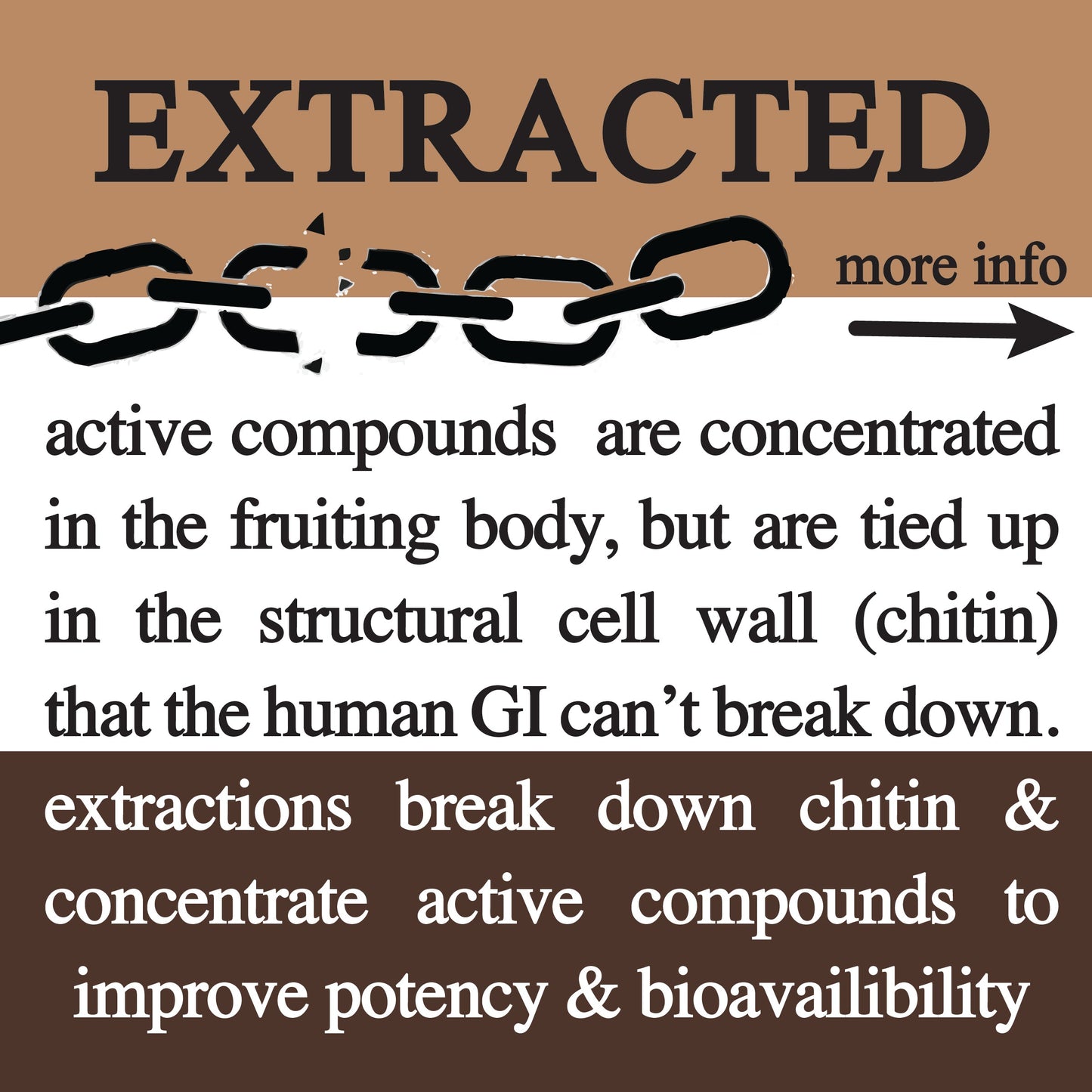 adaptive cacao. performance superfood. - Blessings Grow Meadows