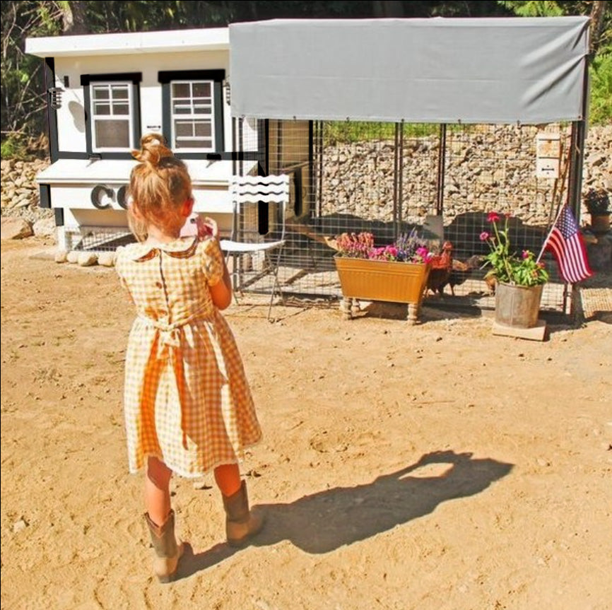 OverEZ XL Chicken Coop with spacious design, wooden panels, and ventilation for up to 20 chickens, ideal for backyard poultry.