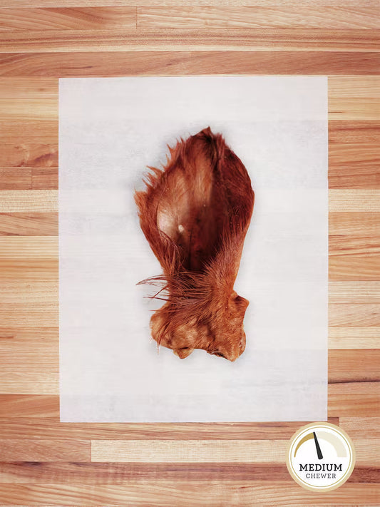Farm Hounds beef hairy ear chew for dogs, showing a natural, textured beef ear with hair on a neutral background.