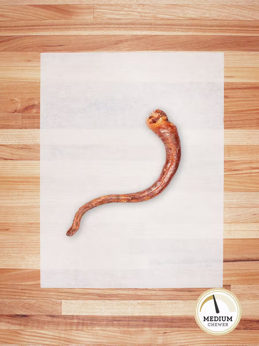 Farm Hounds Hog Tail chew for dogs, natural and durable dog treat made from hog tail, ideal for chewing and dental health.