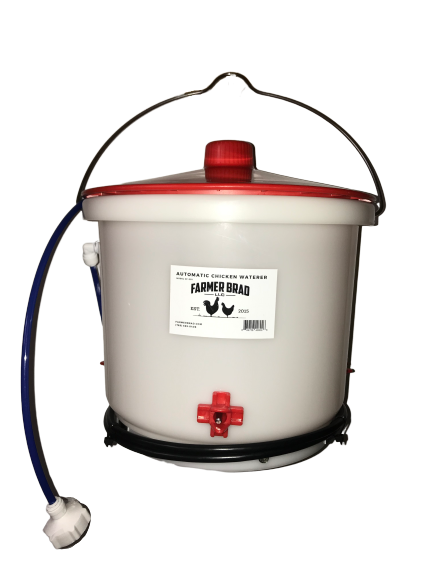 Farmer Brad heated chicken waterer with 4-gallon capacity, designed for providing clean water to backyard poultry.