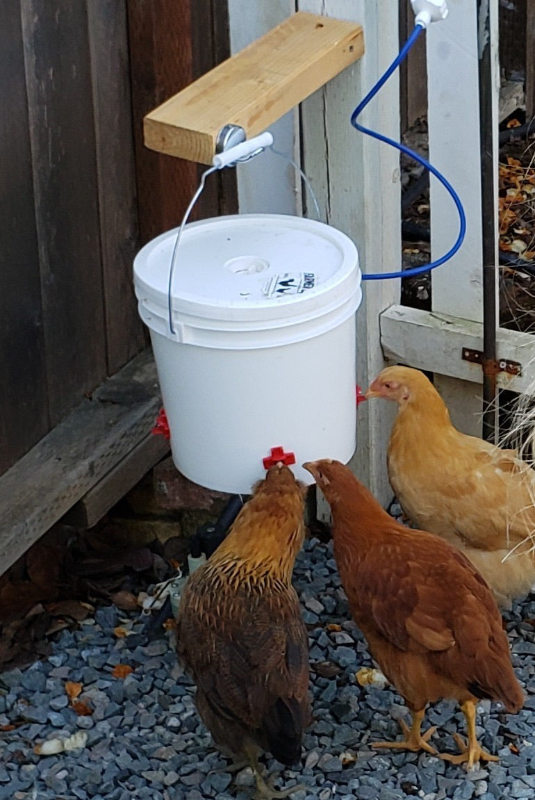 Farmer Brad automatic chicken waterer in 2-gallon size, featuring a clear reservoir and drinking nipple for poultry hydration.