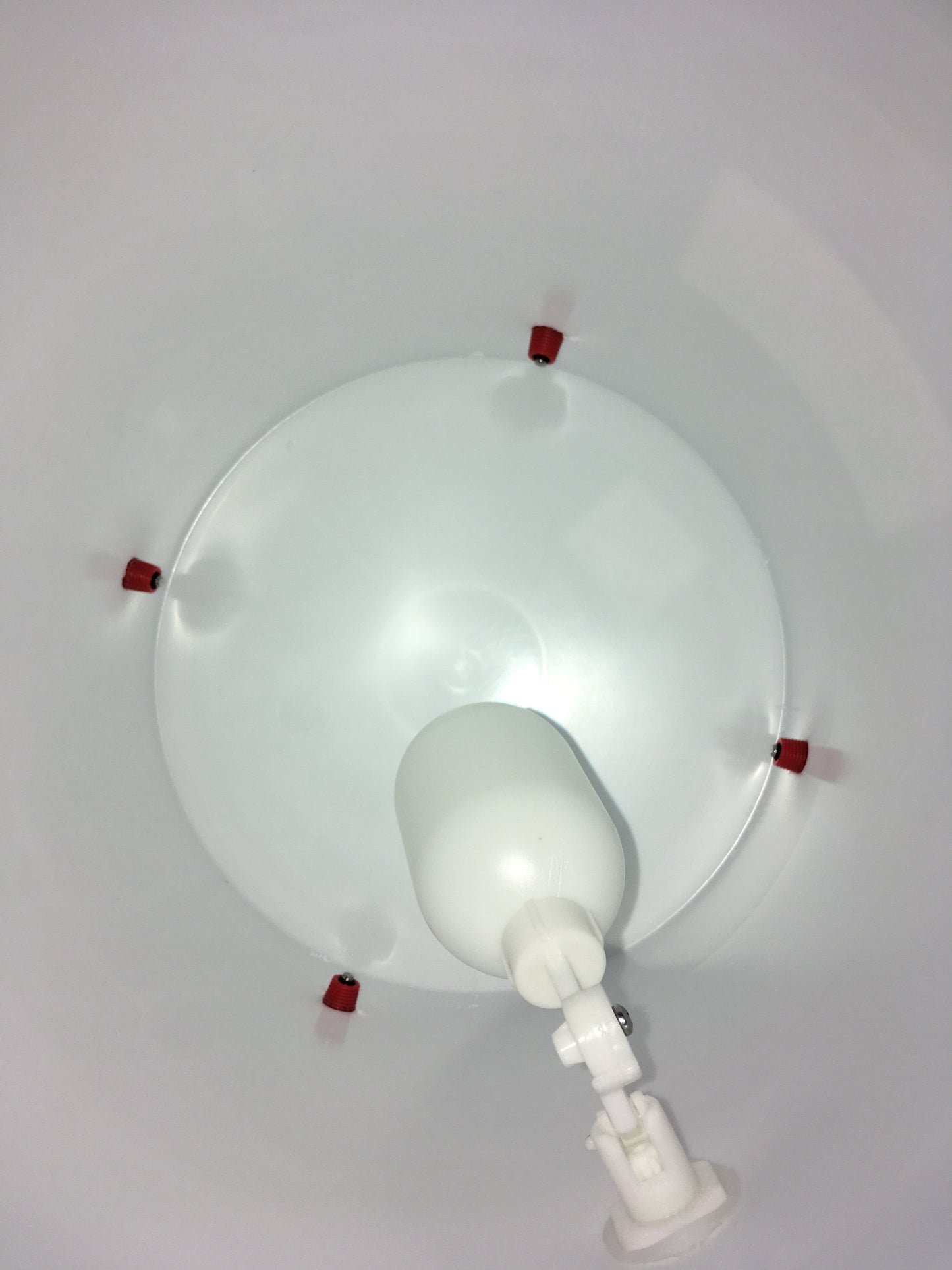 Farmer Brad automatic chicken waterer with 2-gallon capacity, clear plastic container and spout for easy watering of poultry.