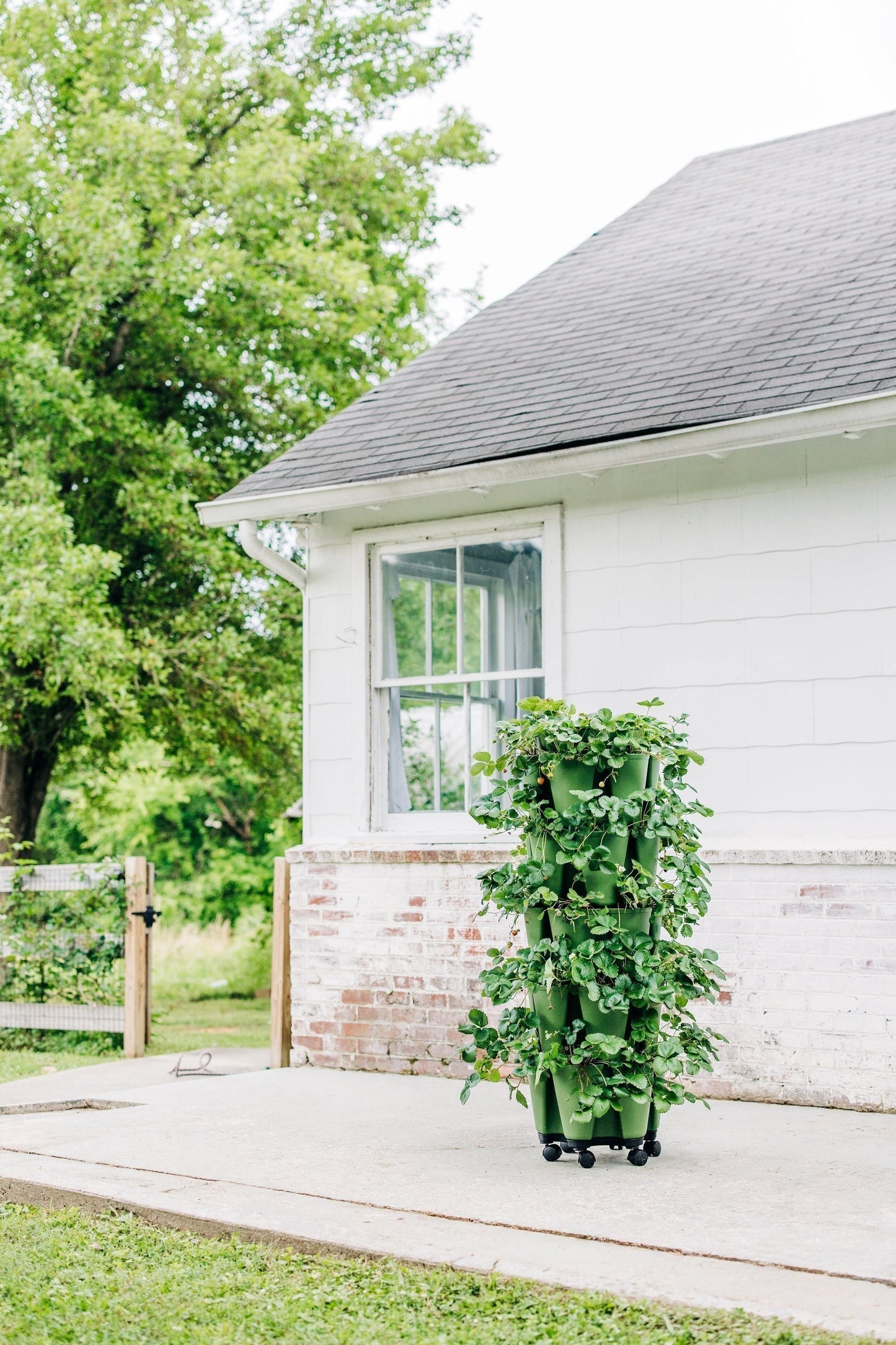 GreenStalk Garden Mover - Blessings Grow Meadows