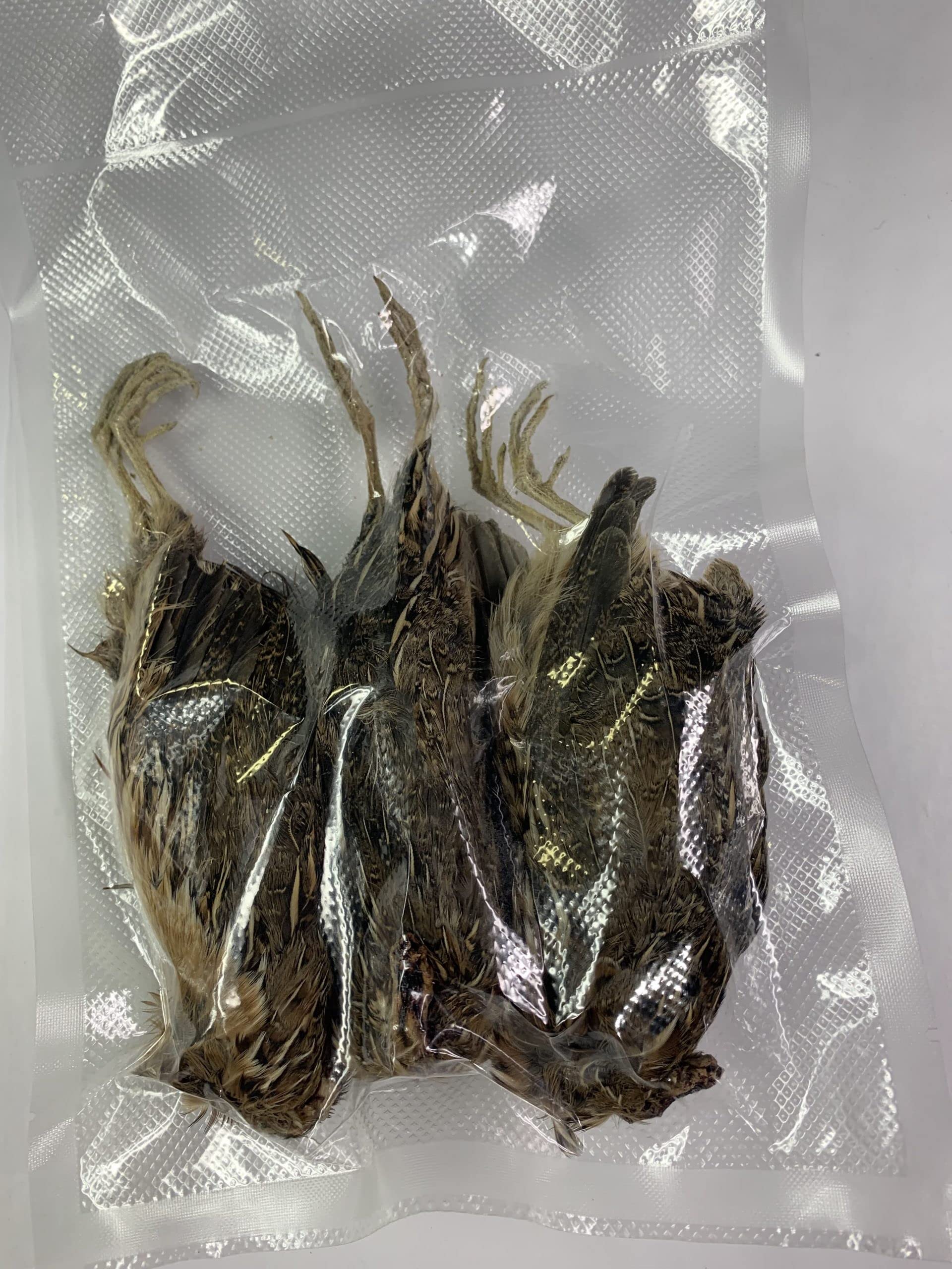 Dehydrated whole quail for bird dog training or falconry, displayed in a natural setting with detailed feathers and size.