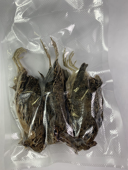 Dehydrated whole quail for bird dog training or falconry, displayed in a natural setting with detailed feathers and size.