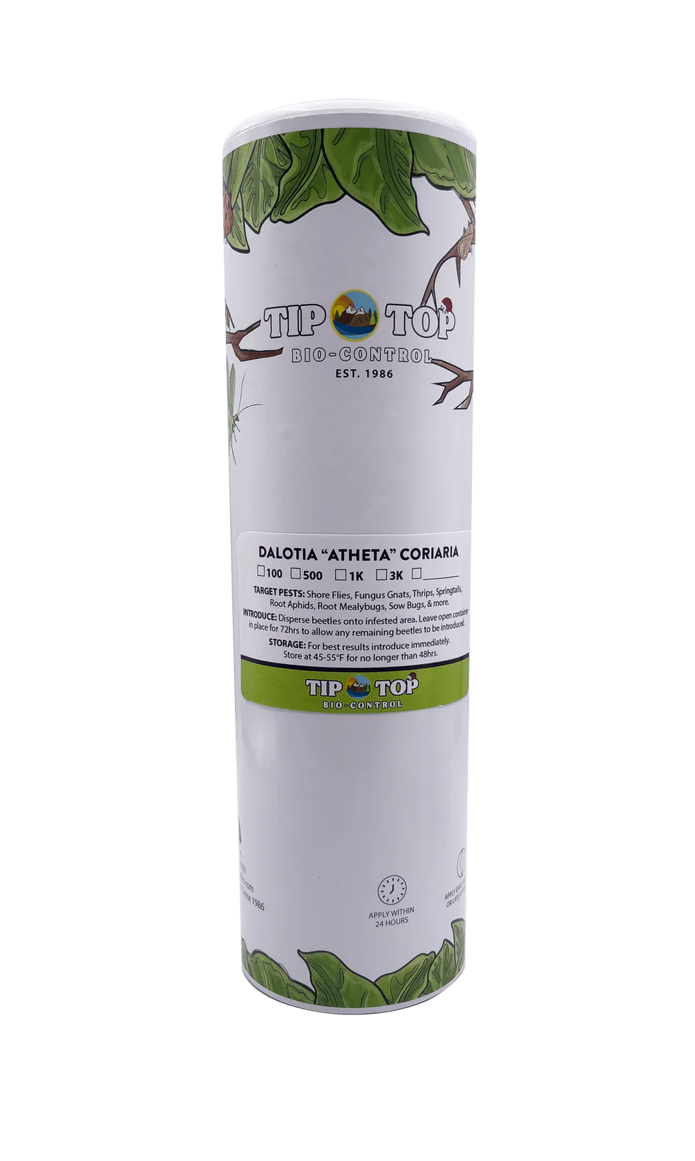 Dalotia coriaria - Rove Beetle - Blessings Grow Meadows -