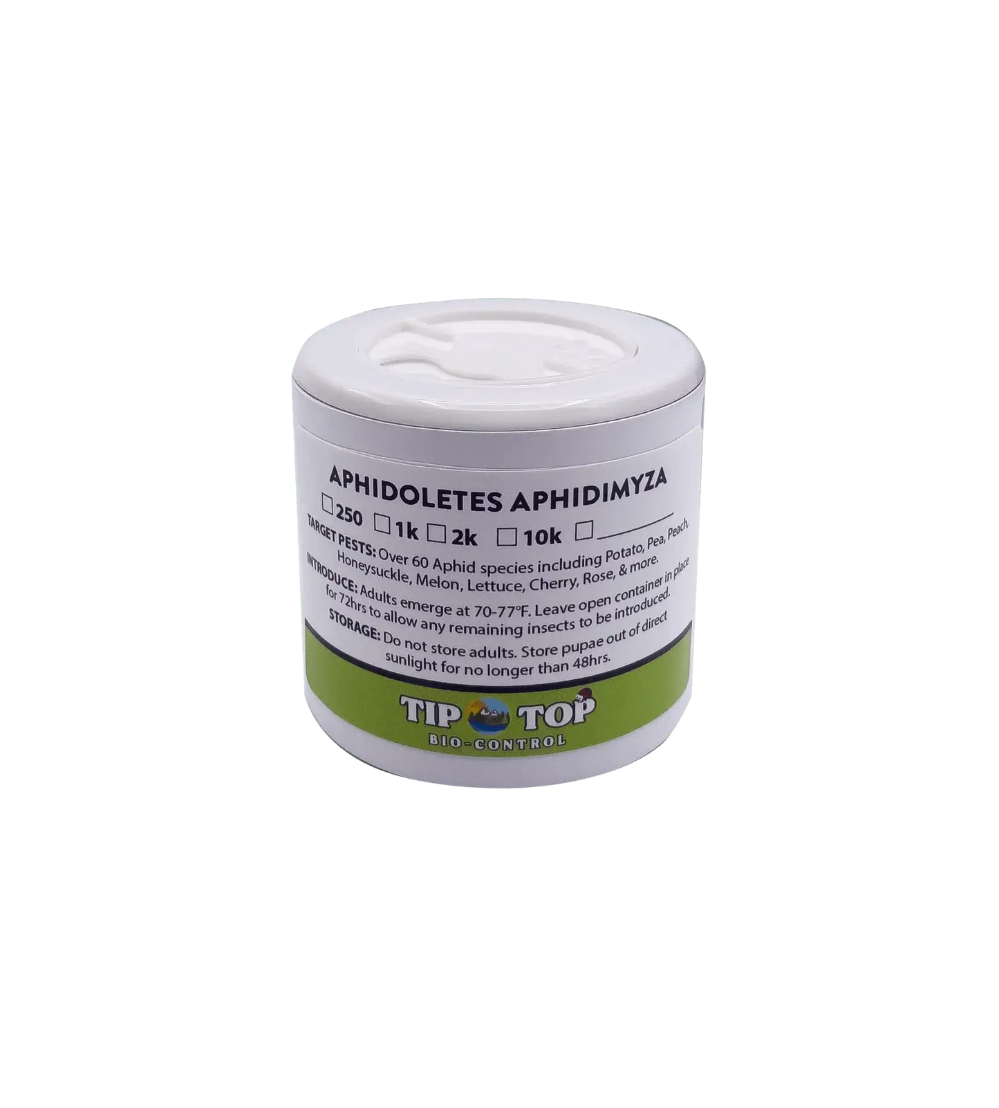 Aphidoletes aphidimyza (Live Nymphs) - Blessings Grow Meadows