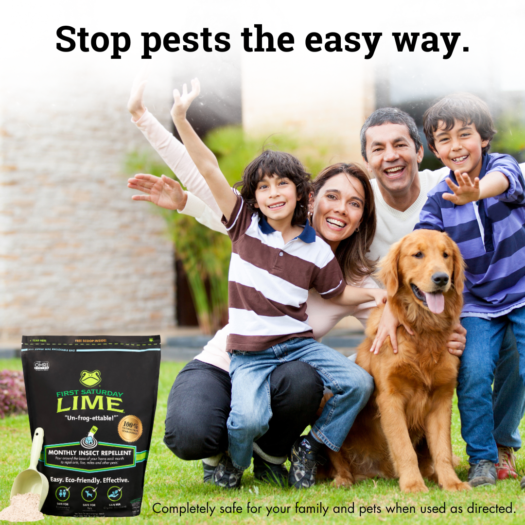 First Saturday Lime Insect Repellent - Blessings Grow Meadows