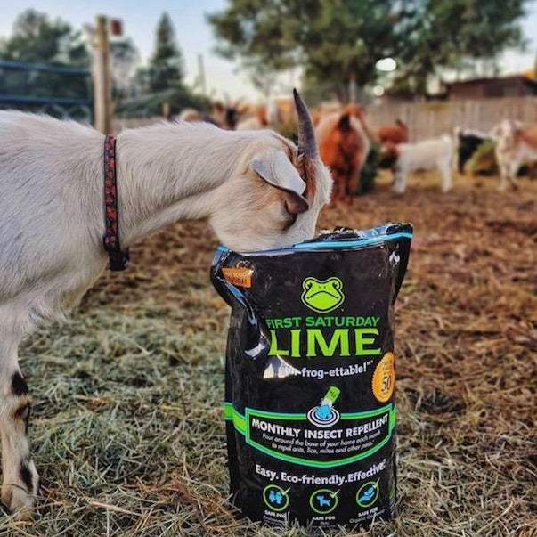 First Saturday Lime Insect Repellent - Blessings Grow Meadows
