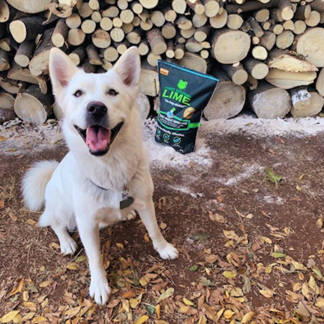 First Saturday Lime Insect Repellent - Blessings Grow Meadows