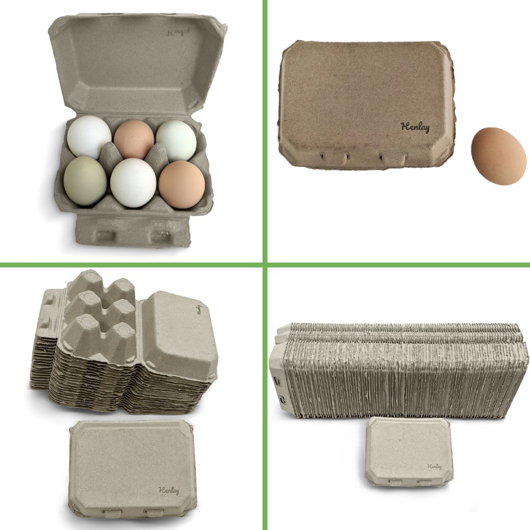 Half Dozen Egg Cartons - Henlay Blank Flat Top, Six Pack, 2 colors, 20 or 100 - Blessings Grow Meadows