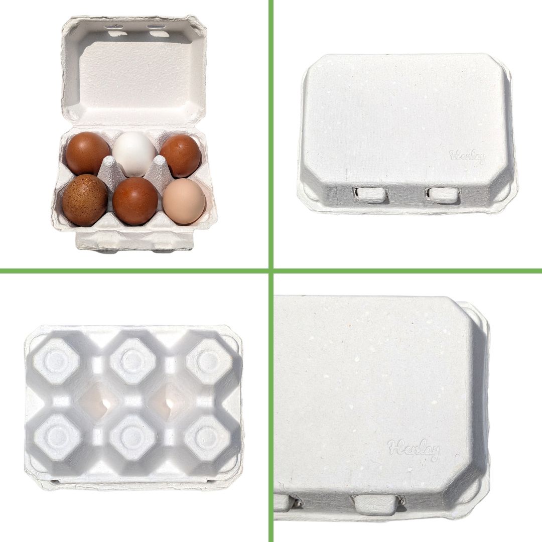 Half Dozen Egg Cartons - Henlay Blank Flat Top, Six Pack, 2 colors, 20 or 100 - Blessings Grow Meadows