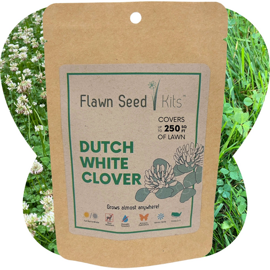 Dutch White Clover seed pouch from Flawn Seed Kits, includes seeds and seed tape for 100 sq ft of lawn or garden coverage.