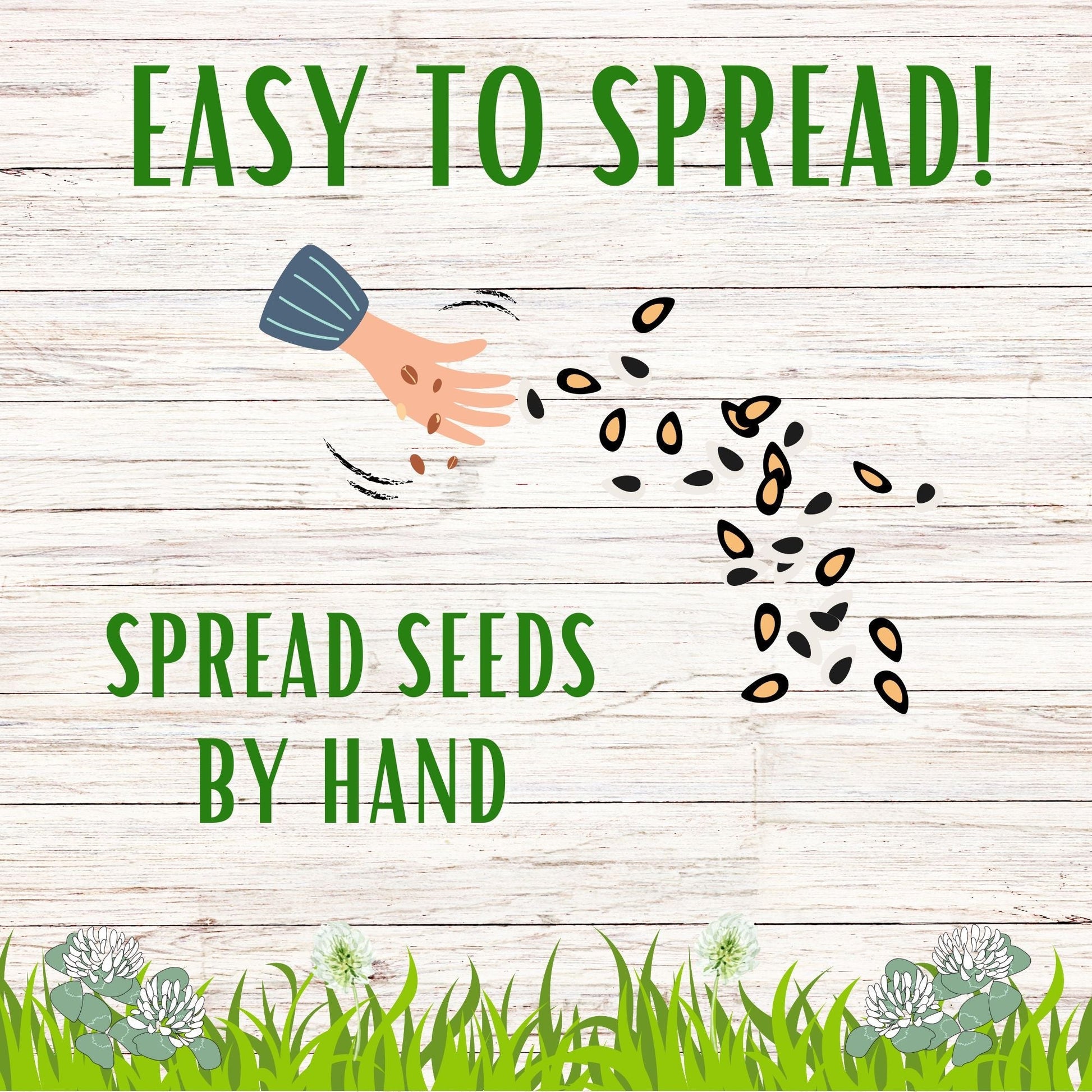 Dutch White Clover seed pouch from Flawn Seed Kits, 100 sq ft seed tape for lush ground cover and lawn enrichment.