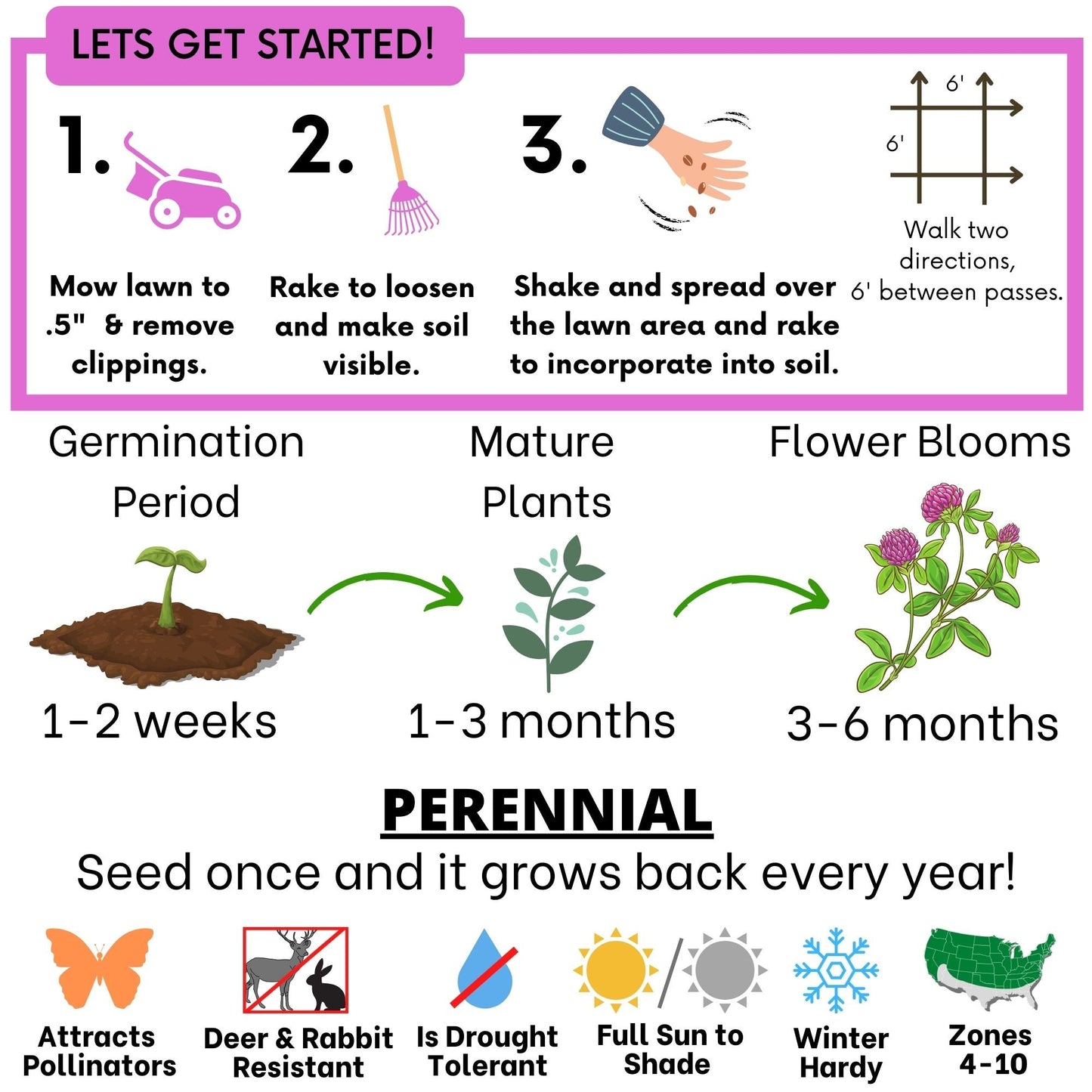 Medium Red Clover seed pouch from Flawn Seed Kits, containing seeds and seed tape for planting in a 100 sq ft area.