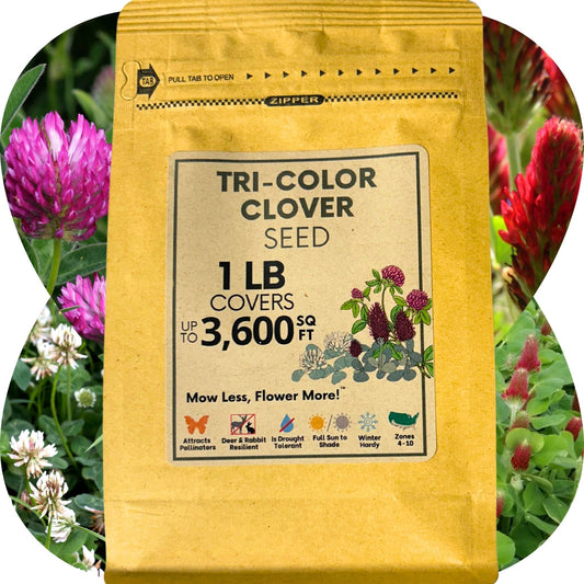 Tri-color clover seed blend from Flawn Seed Kits, shown in seed tape for planting, covering 100 sq ft of garden area