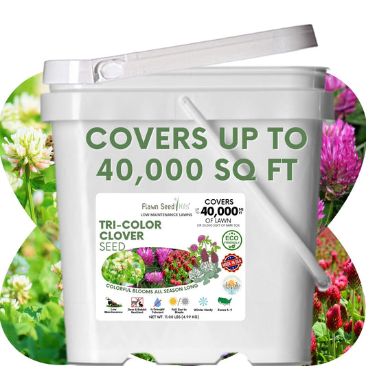 Tri-color clover seed blend from Flawn Seed Kits, shown in seed tape for planting over 100 sq ft, 45 oz of mixed clover seeds.