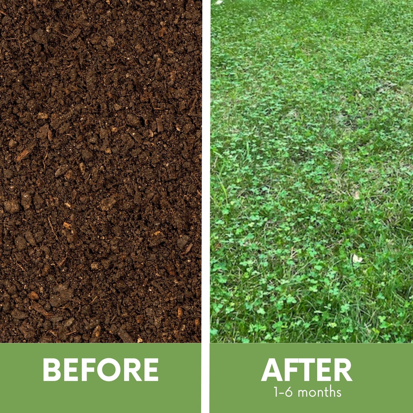 Flawn Seed Kits Micro Clover and Mow Less Grass Seed in a 100 sq ft pouch, showing seed tape for lawn coverage.