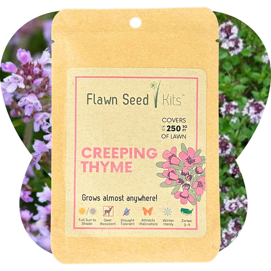 Creeping thyme seeds in a Flawn Seed Kits pouch, ideal for planting ground cover with seed tape for easy sowing.