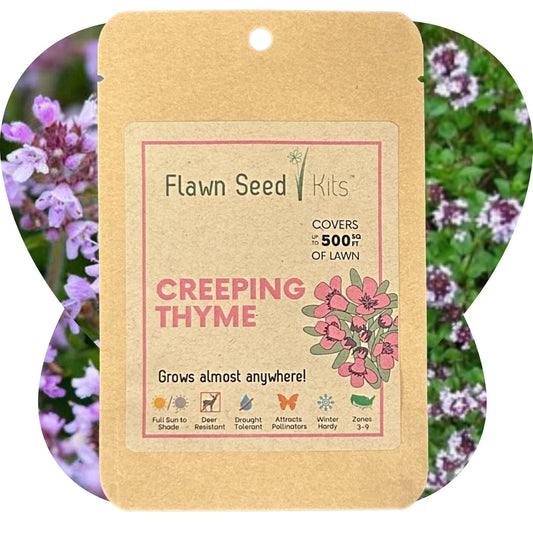 Creeping thyme seed pouch from Flawn Seed Kits, 1000 seeds in seed tape for garden planting and ground cover.