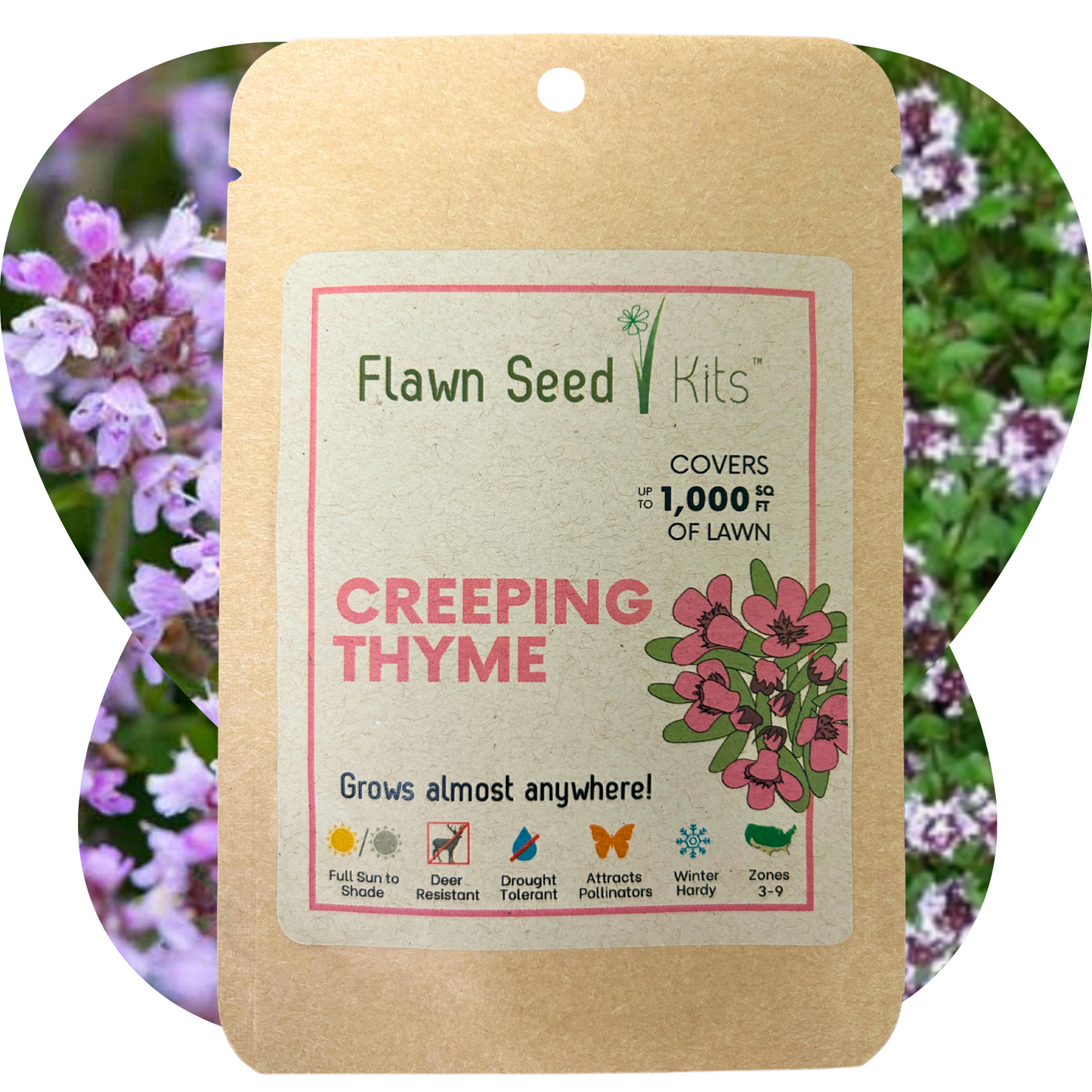 Creeping thyme seeds in a Flawn Seed Kits pouch, 1000 seeds of creeping thyme for planting in garden or landscape.