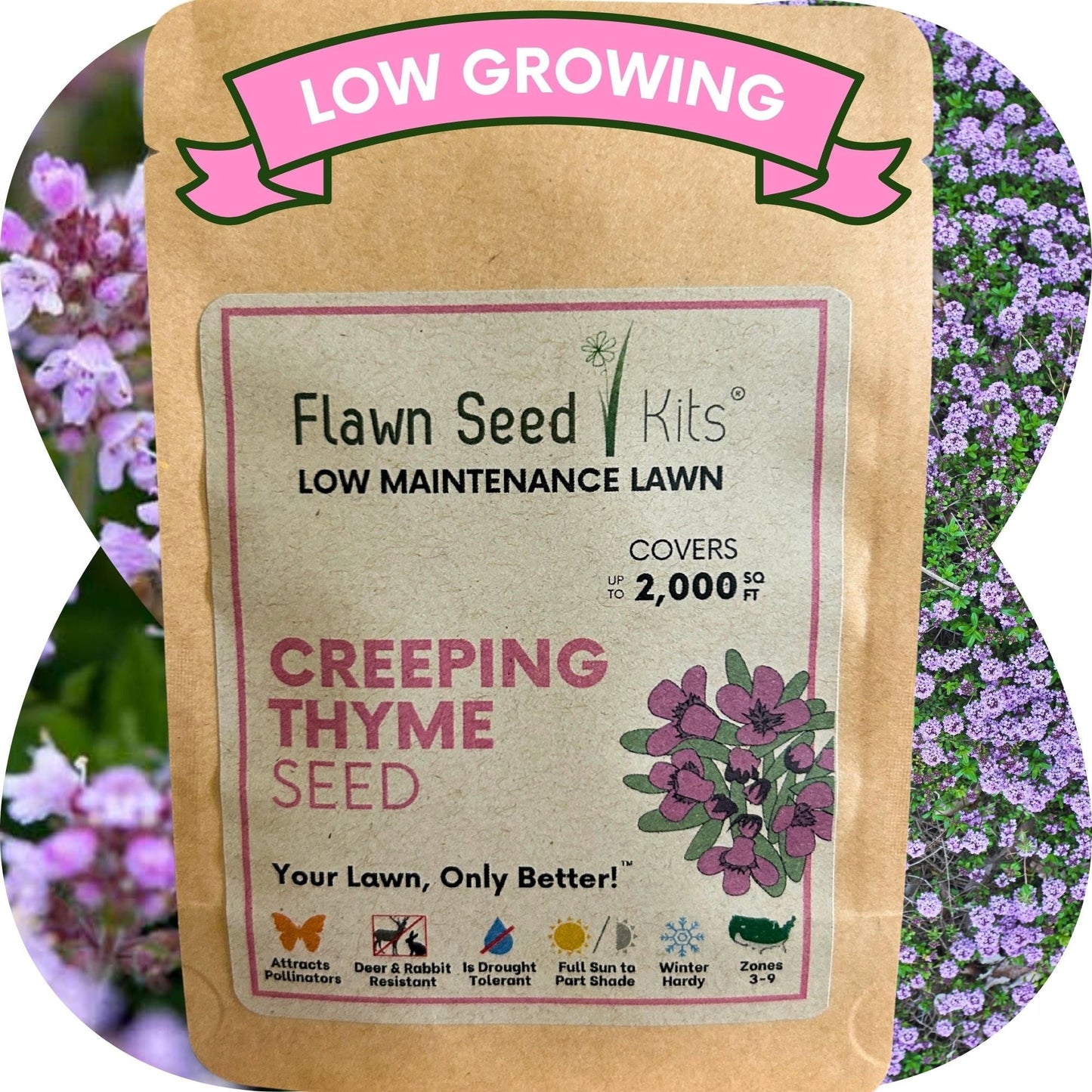 Creeping thyme seeds pouch from Flawn Seed Kits, featuring 1,000 seeds in seed tape for easy planting and ground cover.