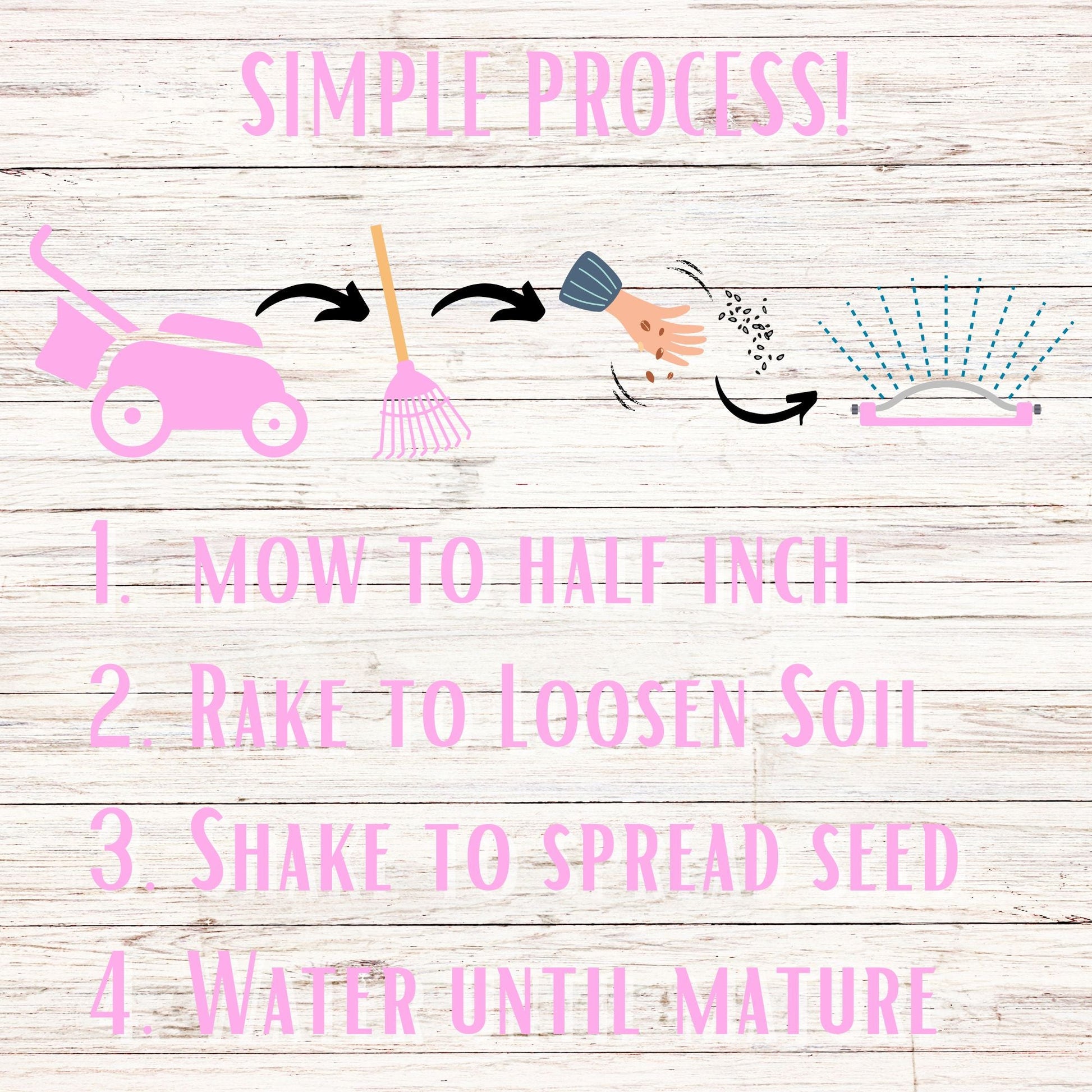 Creeping Thyme Seed Pouch - Blessings Grow Meadows