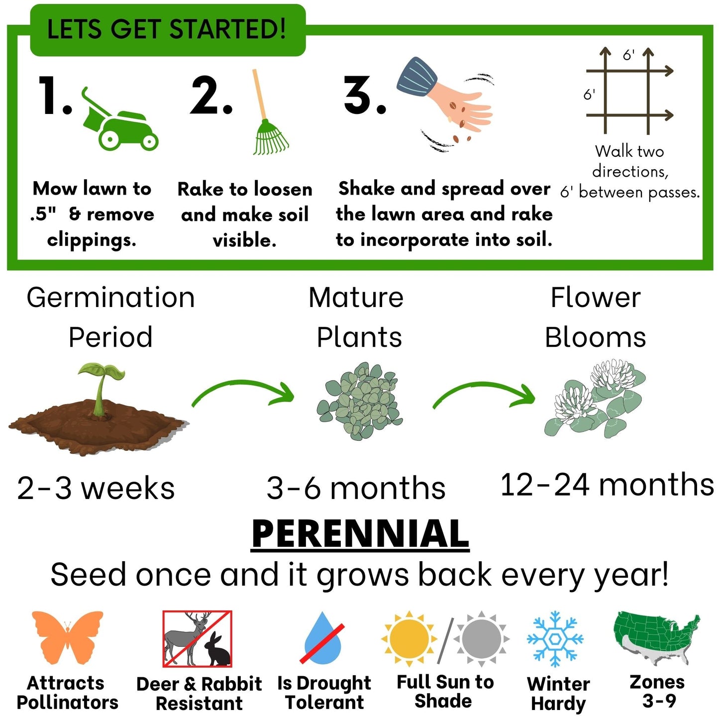 Dutch White Clover Seed Pouch - Blessings Grow Meadows