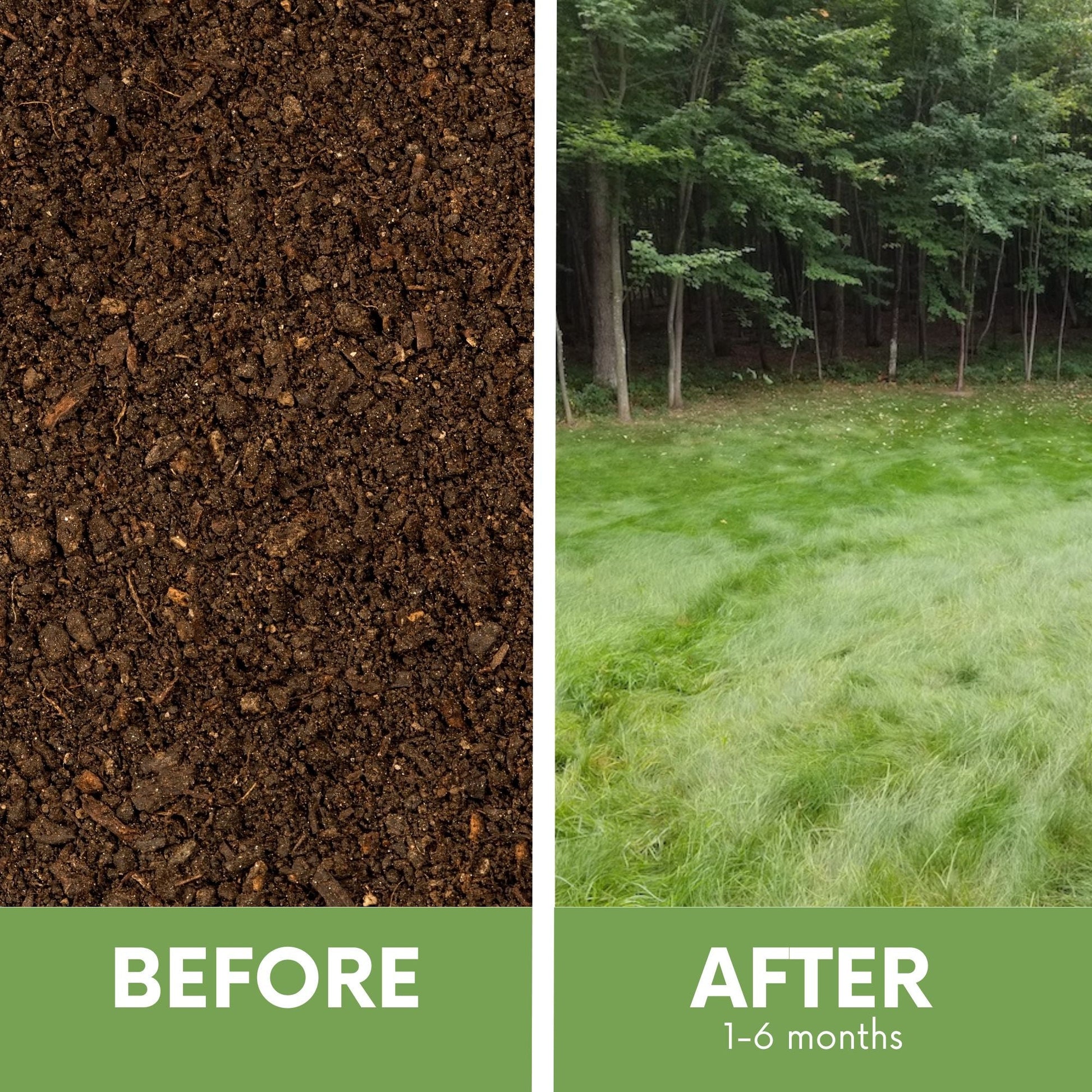 Flawn Seed Kits Mow Less Grass Seed and Seed Tape for 250 sq ft, 1.2 lb, designed for easy lawn seeding.