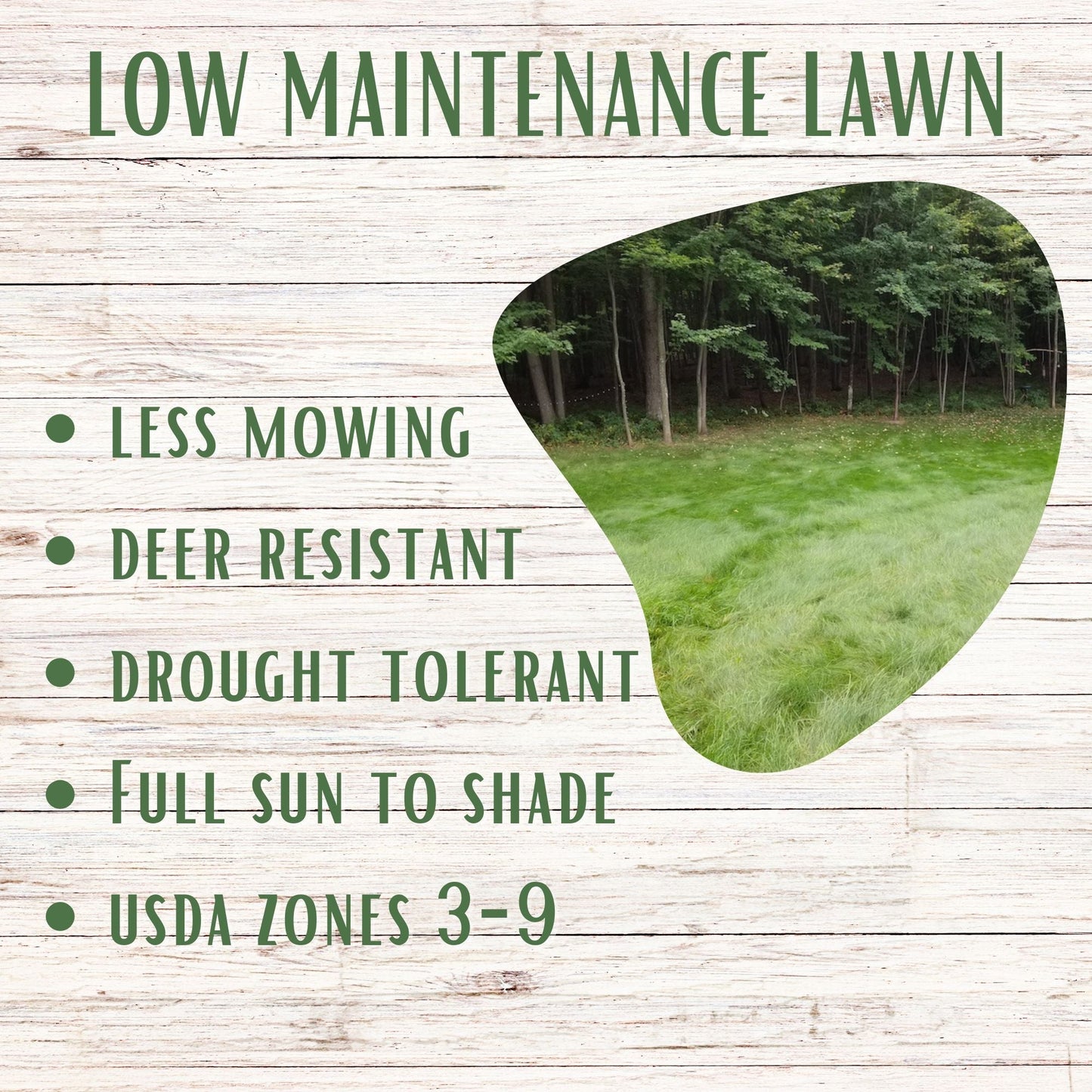 Flawn Seed Kits Mow Less Grass Seed in seed tape, designed for 250 sq ft, showing the seed tape with grass seeds for lawn growth.