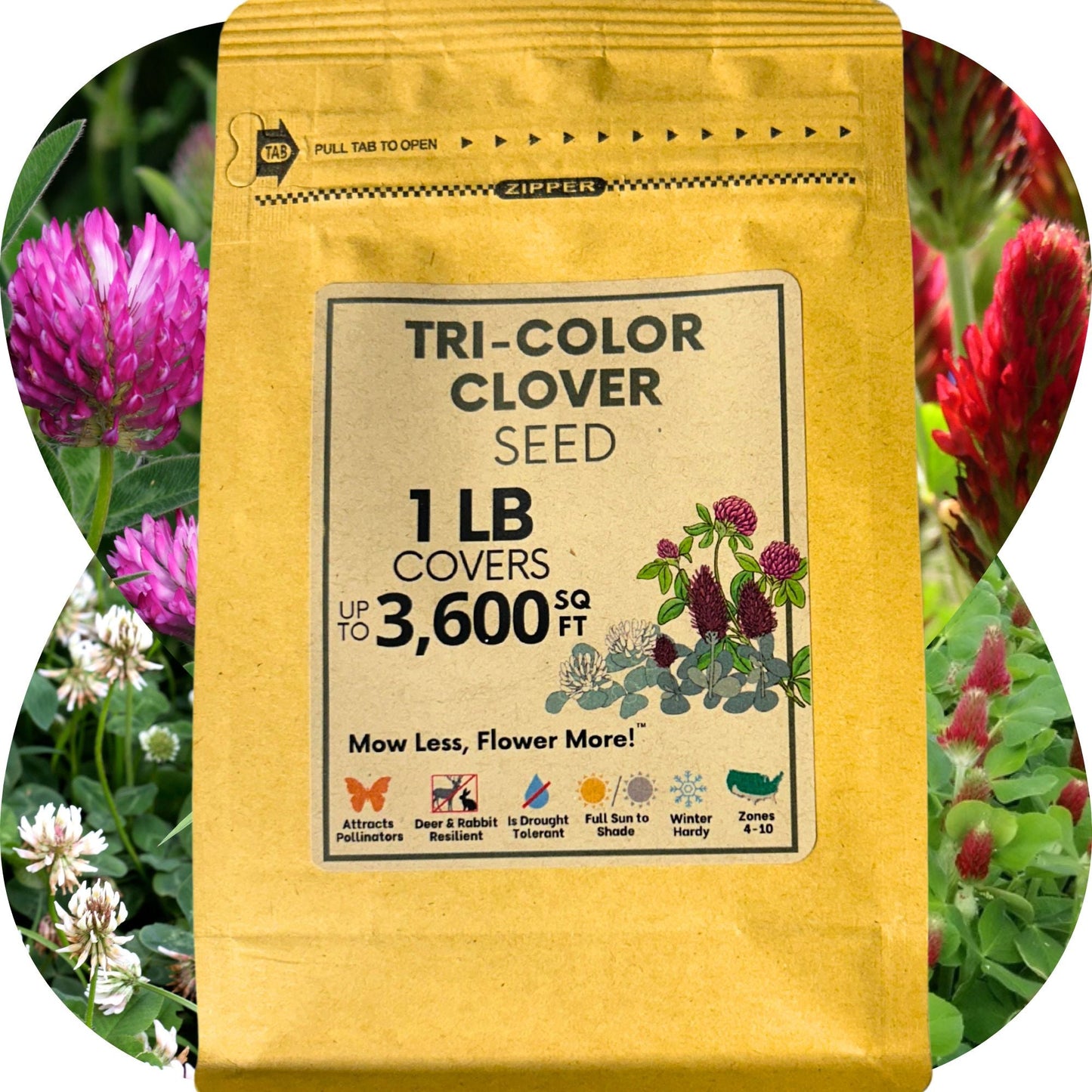 Tri-Color Clover Seed Blend - Blessings Grow Meadows