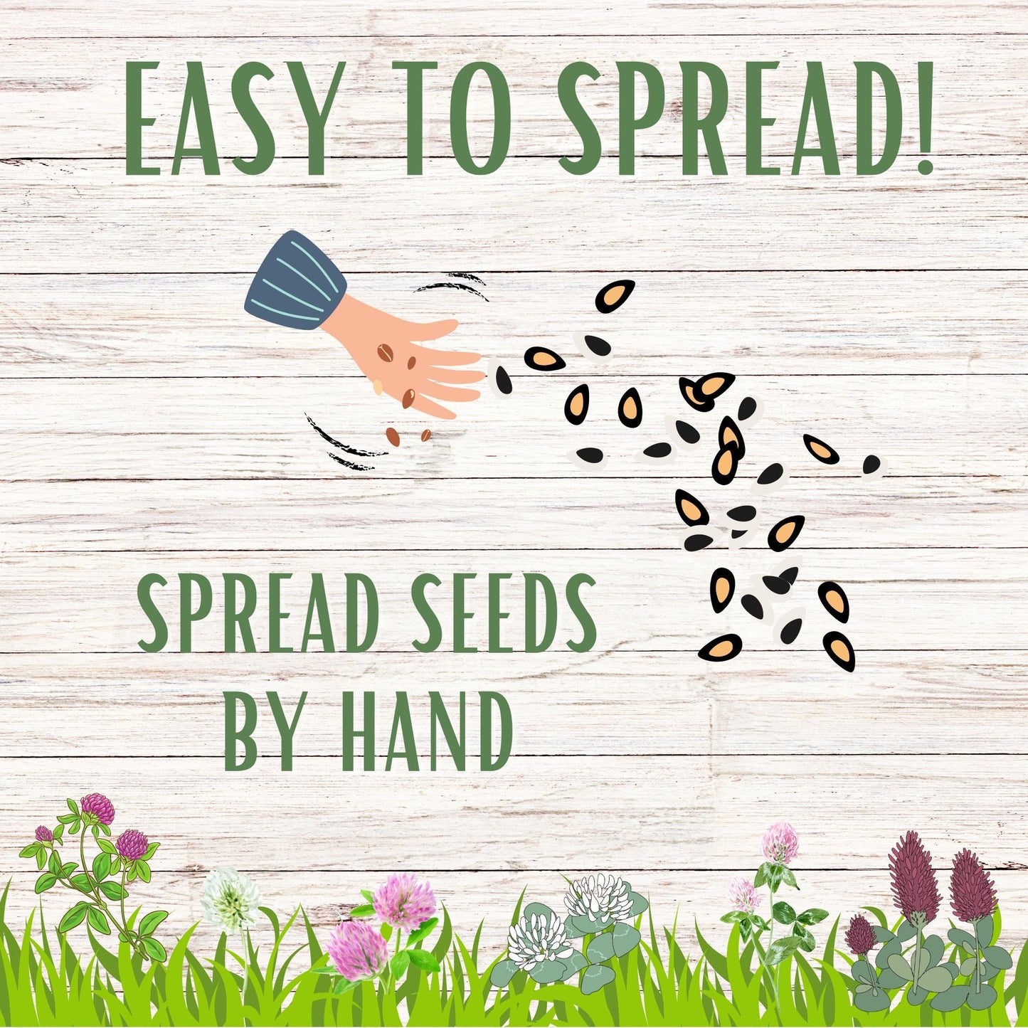 Tri-Color Clover Seed Blend - Blessings Grow Meadows