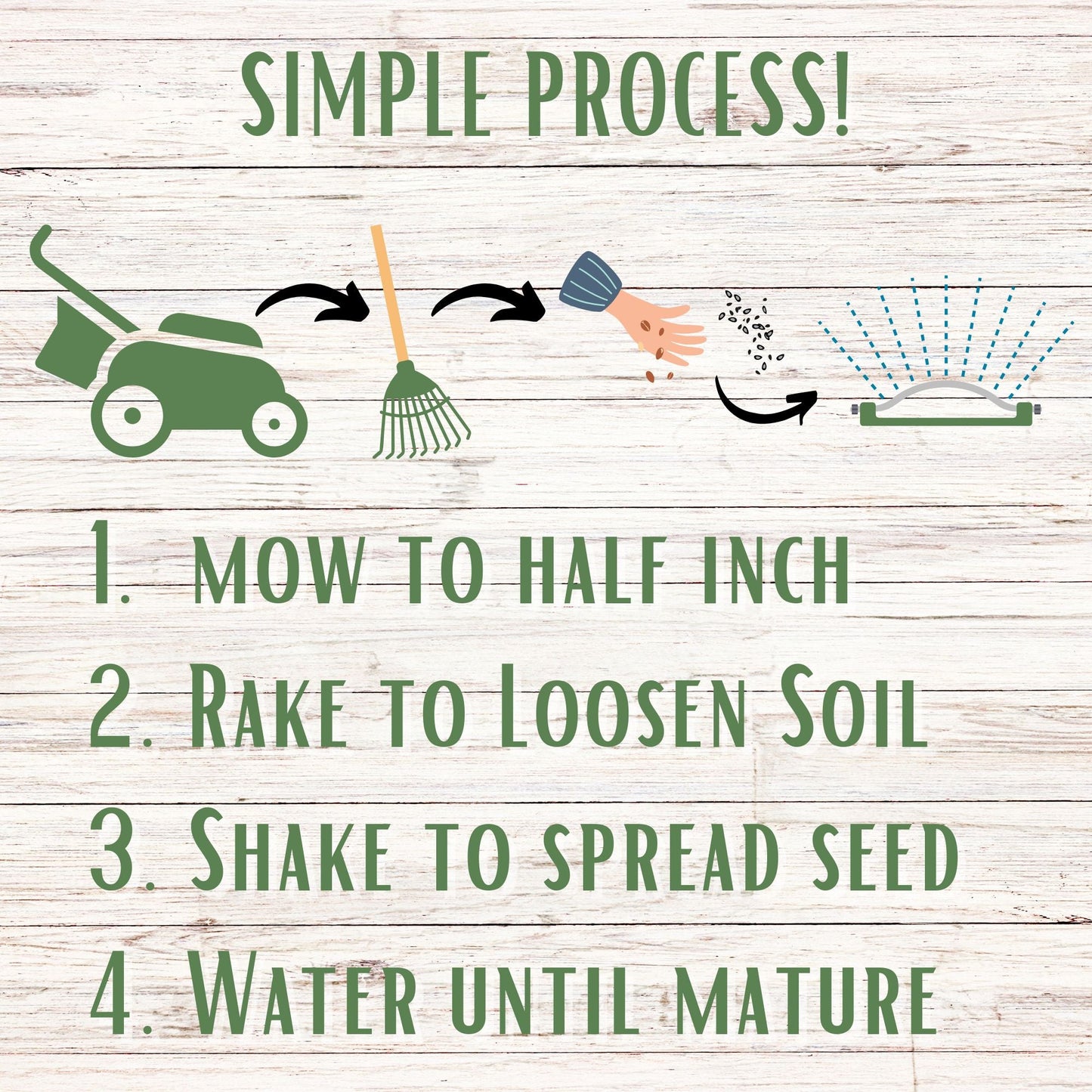 Tri-Color Clover Seed Blend - Blessings Grow Meadows