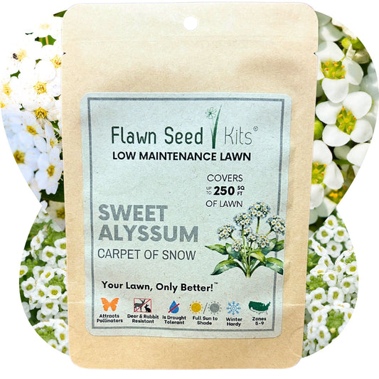 Sweet Alyssum Carpet of Snow seeds in a Flawn Seed Kits seed tape pouch, designed for lush, low-growing floral ground cover.