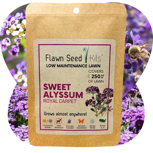 Sweet Alyssum Royal Carpet seed pouch from Flawn Seed Kits, showing seed tape for 250 sq ft of vibrant garden ground cover.